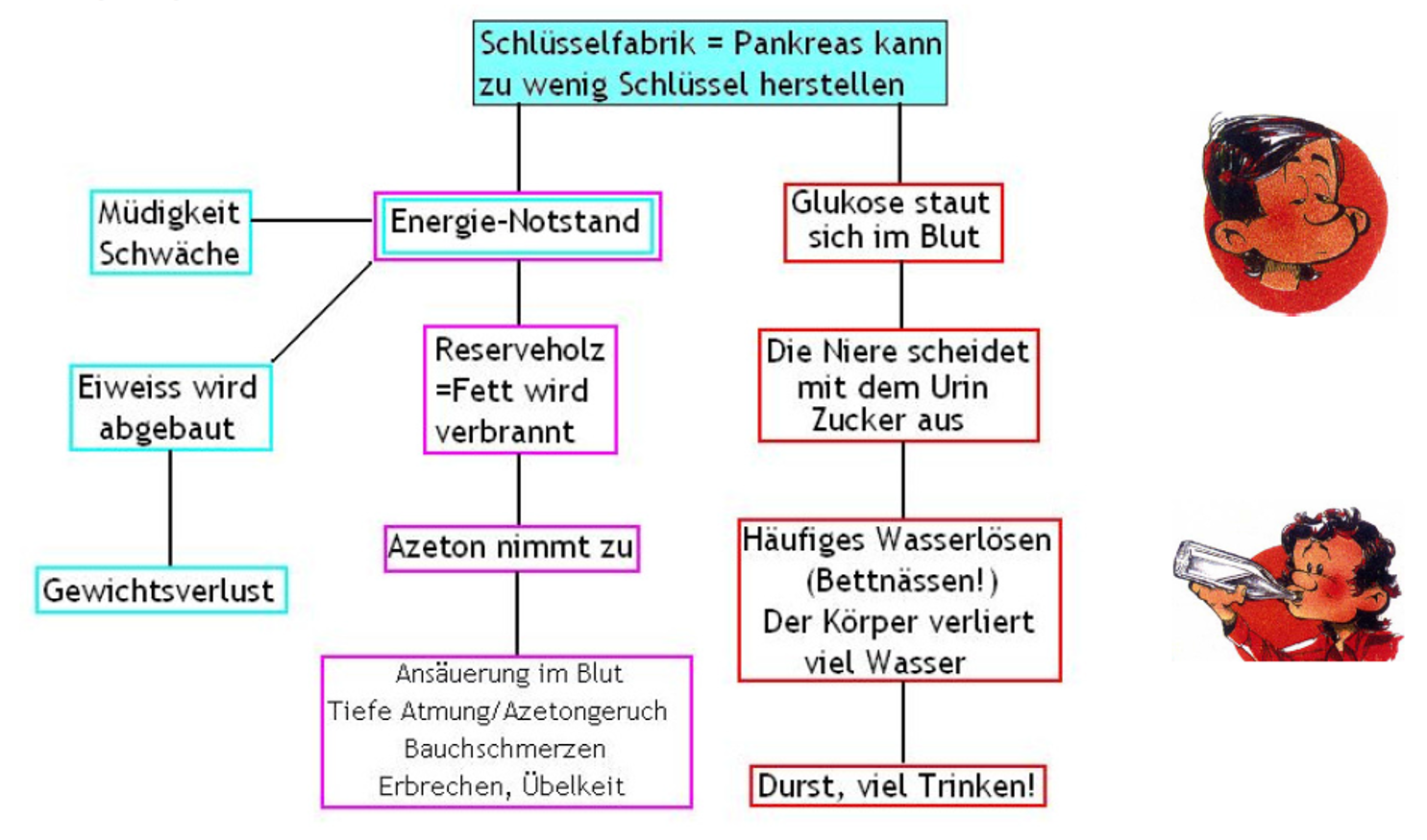 Diabetes Elterninformation Kispi Wiki